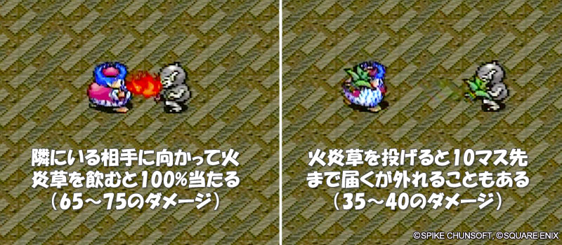 火炎草の使い方