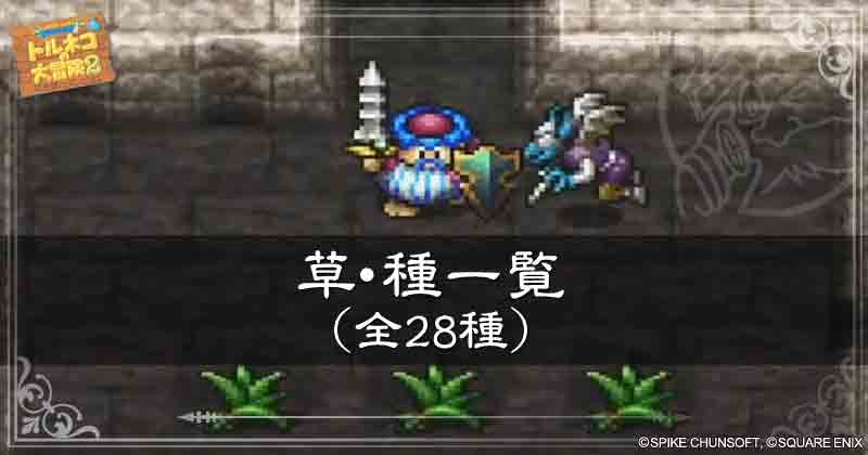 草・種一覧の見出し画像