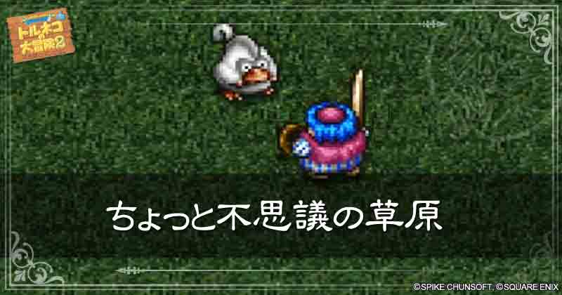 ちょっと不思議の草原の見出し画像